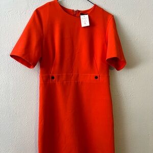 Small orange dress, elegant with big buttons. Never worn yet new.